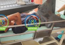 ‘PALOTERAPIA’ EN ZONA RURAL DE GARZÓN