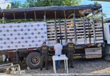 POLICÍA FRENA MILLONARIO ROBO DE GANADO EN ALTAMIRA Y CAPTURA AL CONDUCTOR DEL CAMIÓN